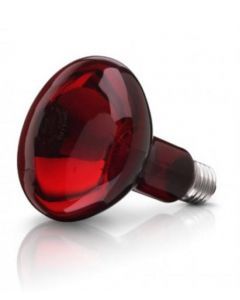 Beurer Spare Bulb For Infrared Lamp 100W (614.51) - ISPK-0120
