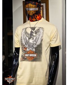 Harley-Davidson Summer Collection T-Shirts THD_22