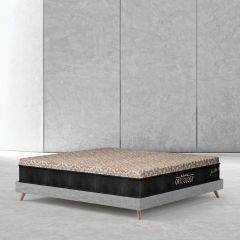 Diamond-Supreme-molty-Foam-Mattress-Dolce-Vita-Factor-Z-Single-78×42-29cm