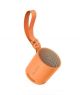 Sony Portable Wireless Speaker (SRS-XB100)-Orange - On Installments - IS-0213