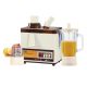ANEX JUICER, BLENDER, GRINDER (600 W) AG-177GL
