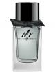 Burberry Mr. Burberry EDT 100ml