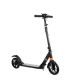 Big Wheel Foldable Scooter with Disc Brakes ? 150kg Load
