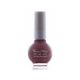 Swiss Miss Get Set Go Nail Polish Rose Wood (245) - ISPK-0091