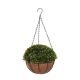 JB Saeed Studio - Plant in Round Pot