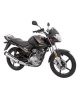 Yamaha YBR 125 - 2023 Model-Black - On Installments - IS-0142