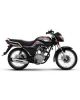 Super Star SS 125 Sports (DYL YD125) - 2024 Model-Black - On Installments - IS-0142