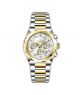 Timezone Chronograph Drift Watch For Men Two Tone Gold (TZ-1324)-White - On Installments - IS-0205