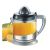 ANEX CITRUS JUICER (40 W) AG-2054