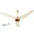 GFC Ceiling Fan Crown Model AC-DC 56 Inch Ceiling Fan - On Installments - HOMECART