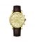 Timezone Vaur Edge Watch For Men (TZ-1334)-Golden - On Installments - IS-0205