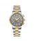 Timezone SoulSync Harmony Watch For Men Two Tone Golden (TZ-1323)-Grey - On Installments - IS-0205