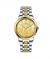 Timezone Prisma Spectra Watch For Men Two Tone Gold  (TZ-1332)-Gold - On Installments - IS-0205