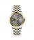 Timezone Prisma Spectra Watch For Men Two Tone Gold  (TZ-1332)-Grey - On Installments - IS-0205