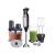 Anix AG-130 Deluxe Hand Blender Price in Pakistan | Easy Monthly Installment By Spark Technologies