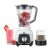 Anix AG-6134UB Deluxe Blender & Grinder Price in Pakistan | Easy Monthly Installment By Spark Technologies