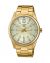 Casio General Mens Watch – MTP-VD02G-9EUDF