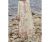 Elan Embroidered Unstitched 3Pc Suit EL24-02B NEDINE