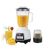 Anex AG-6136GL Deluxe Blender Grinder – Heavy Duty 2-in-1 Kitchen Appliance On Instalment By Spark Technologies